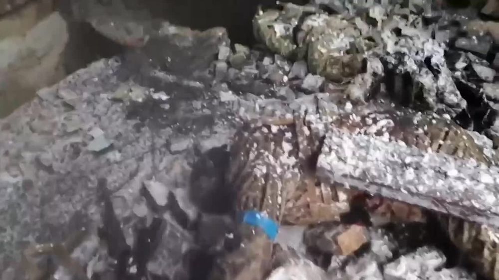 ���� �������� � ������ ���������� ��������(��������)