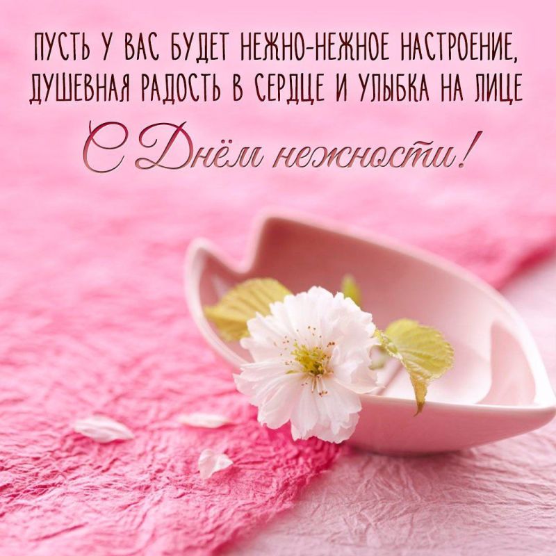 3 ������� - ������������� ���� ��������