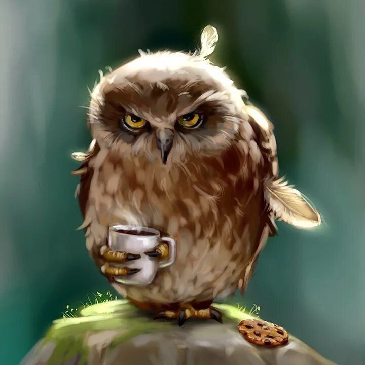 ������ �������,��� ��������, ��� ��������!