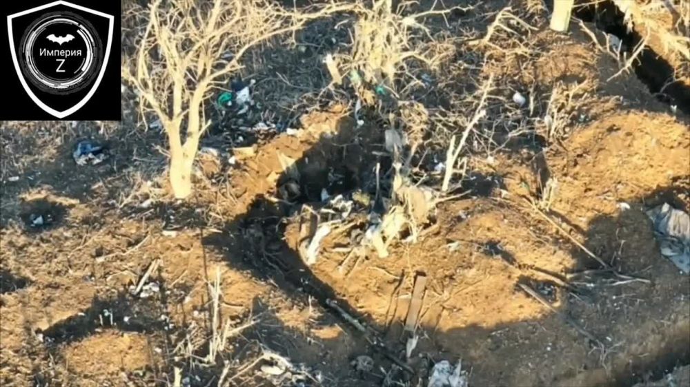 �������������� ����� ���