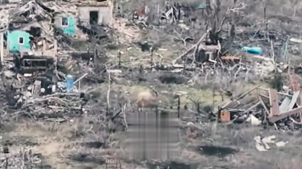 ���� 9-� ������� ����� FPV-���� ���������