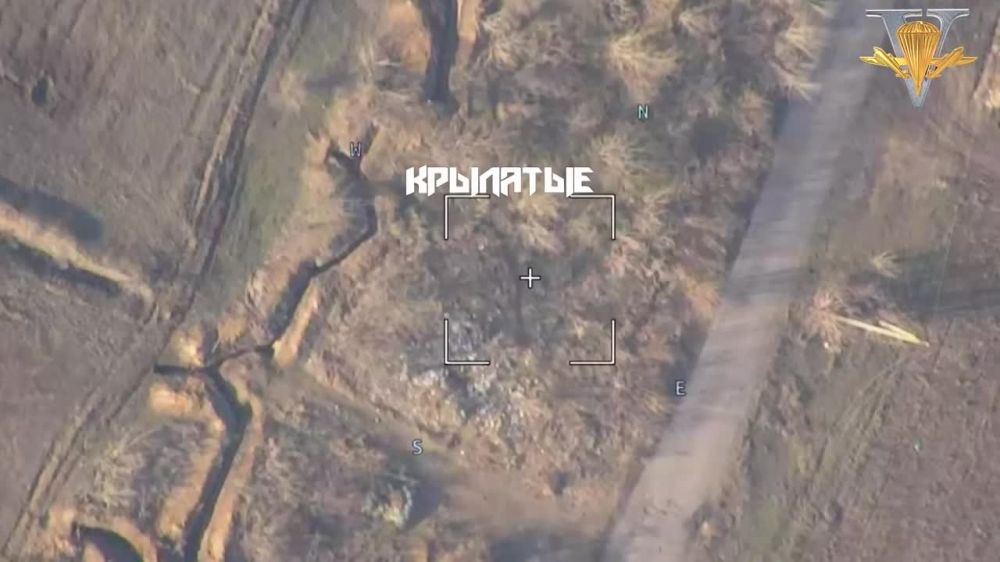 ����� �����: ���������� �����������. ������ �����