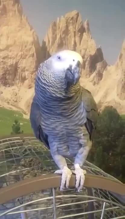 � ������ �����, �����������!