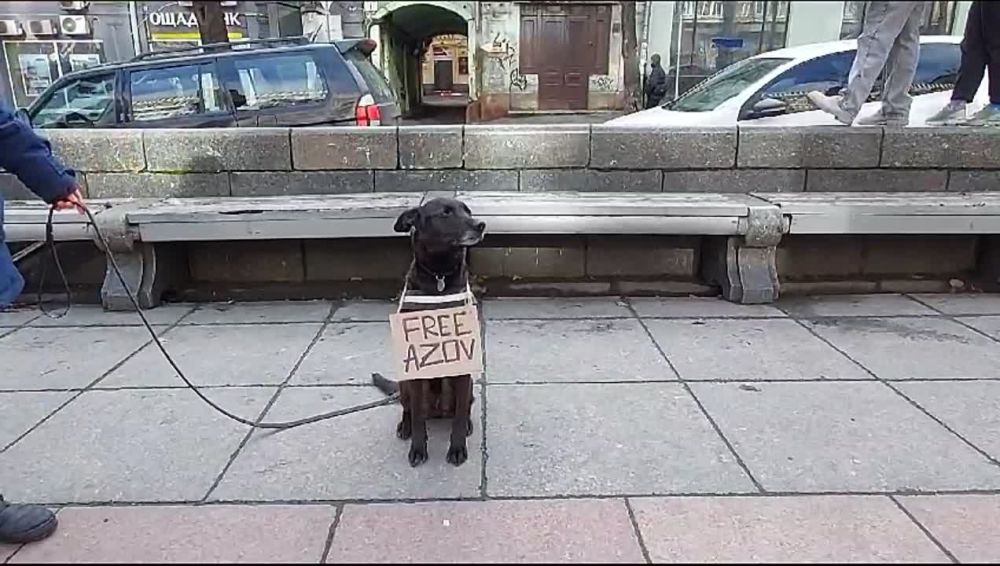 � ����� ������ ����� ������������� �������� �� "�����", �������� �������