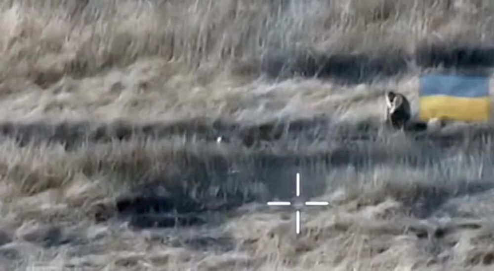 ����� � ���������� FPV-����� ����� � ������ �������� �� ���������� �����������