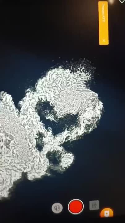 ����� ���������� �������� �������� ��������� ����� ���� �����