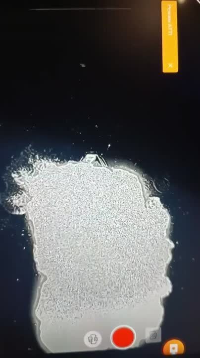 �����. ��������� ����� �� ���