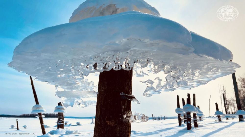 � ��� ����, � ��� ����� ��������� ������� ����� �������� � �������� �������!