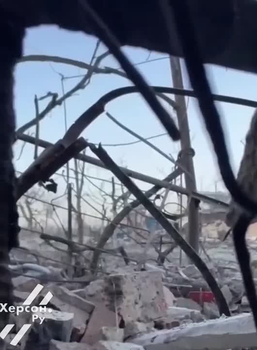 ������. ����� �� ������� ����������