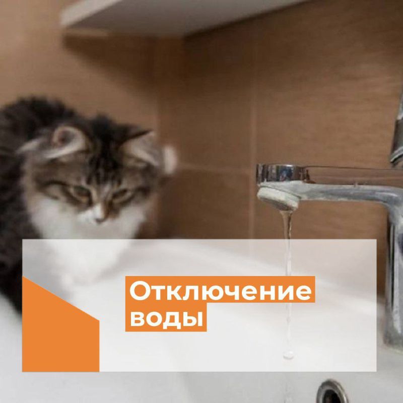 �������, 5 ������, � ����� � ���������� ��������, � ����������� ����� ��������� ���� � 19.00 ������