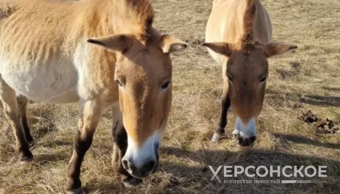 ��� ��� ��������� ������ ������������� ������� ����������� ��������-����