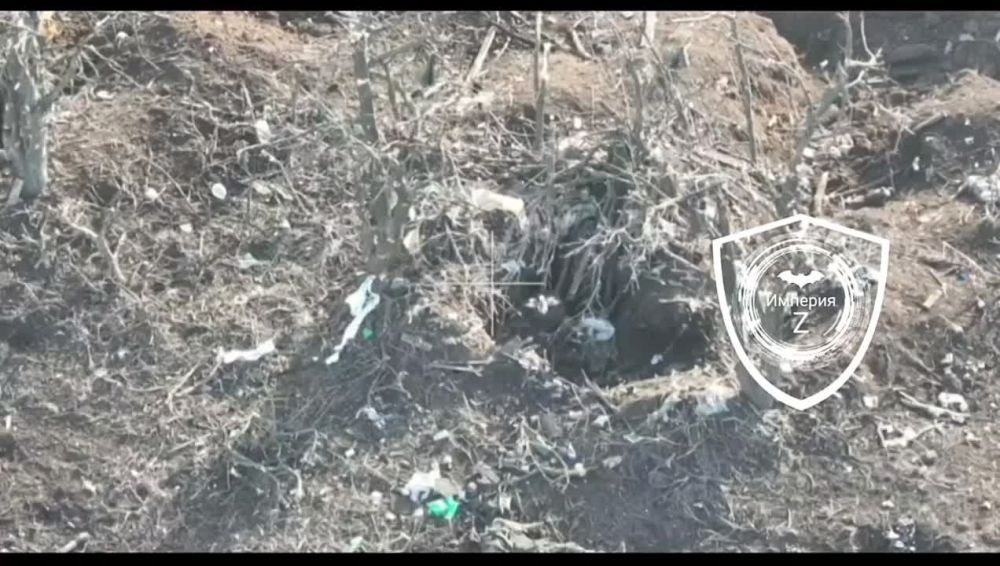 ���� FPV ������� ���������� ���������� ����� � ������� ������- ��������� �������� ������