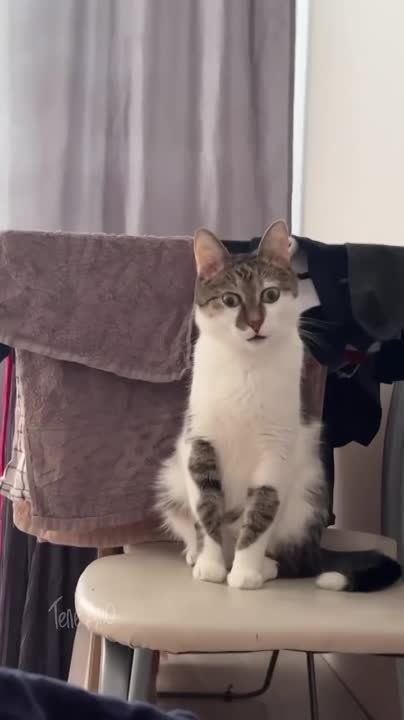 ���� ������������ �������� � ������ � ����� ���� � ������ � ����