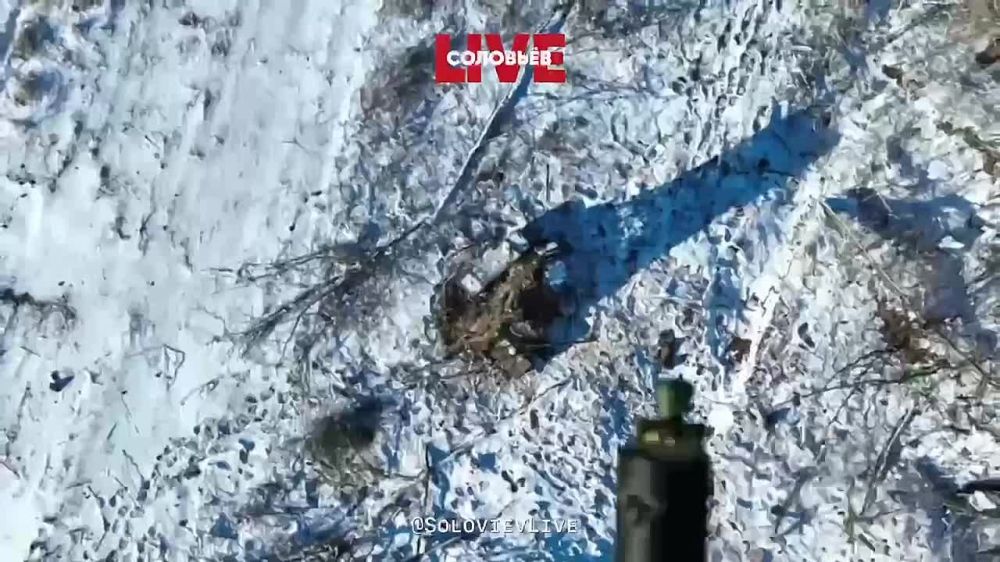 ���������. ���� ����� ���������� ��������������� ������� ���������� �� ���������� ����������� � ���������� � � �����