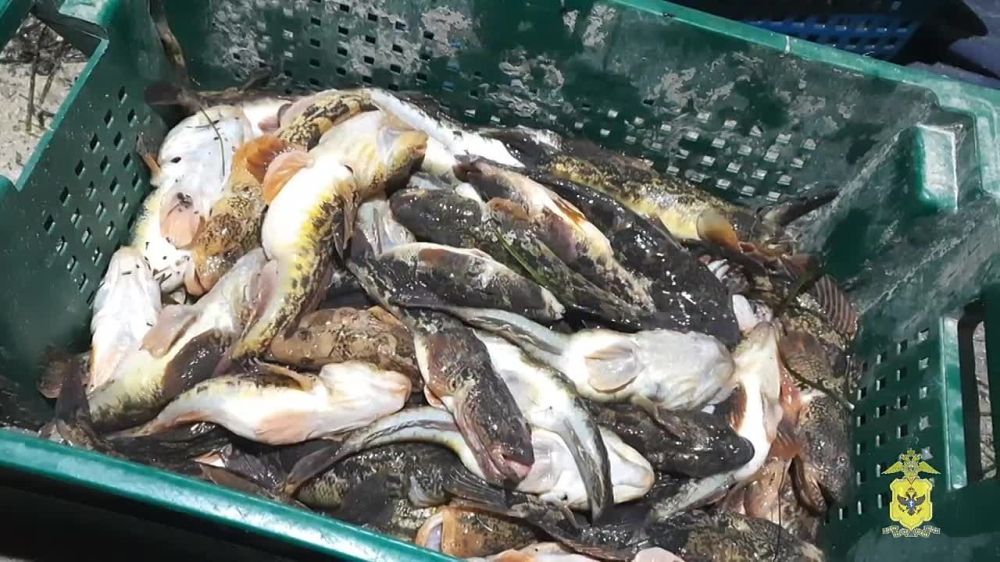 � ���������� ������� ������������ ��������� ������������� � ���������� ������ ������ �����������