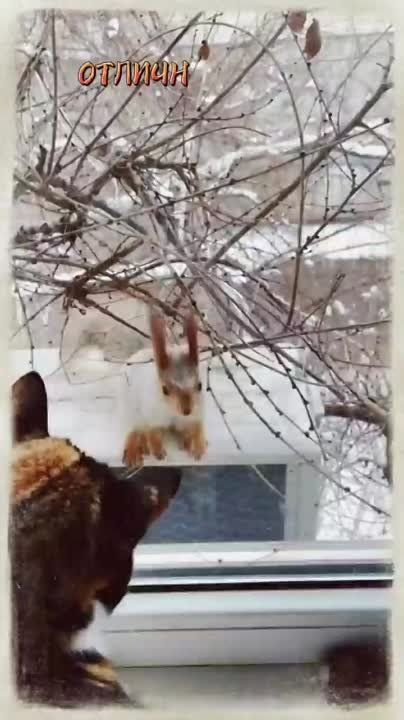 � ������ �����, �����������!