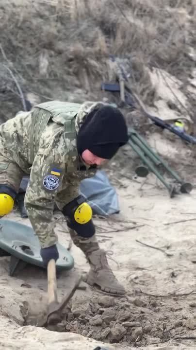 ������� ��������� ������ ���