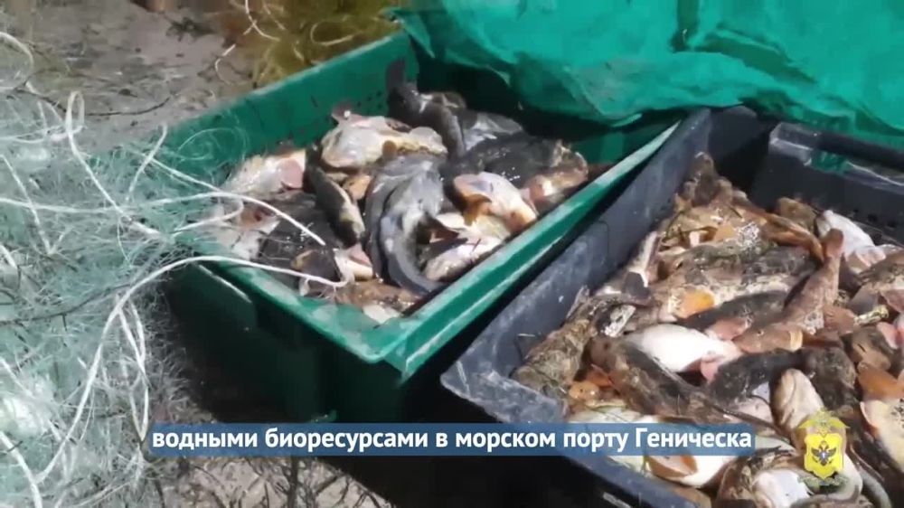 � ���������� ������� ��������������� �������� ���������� ����� ����