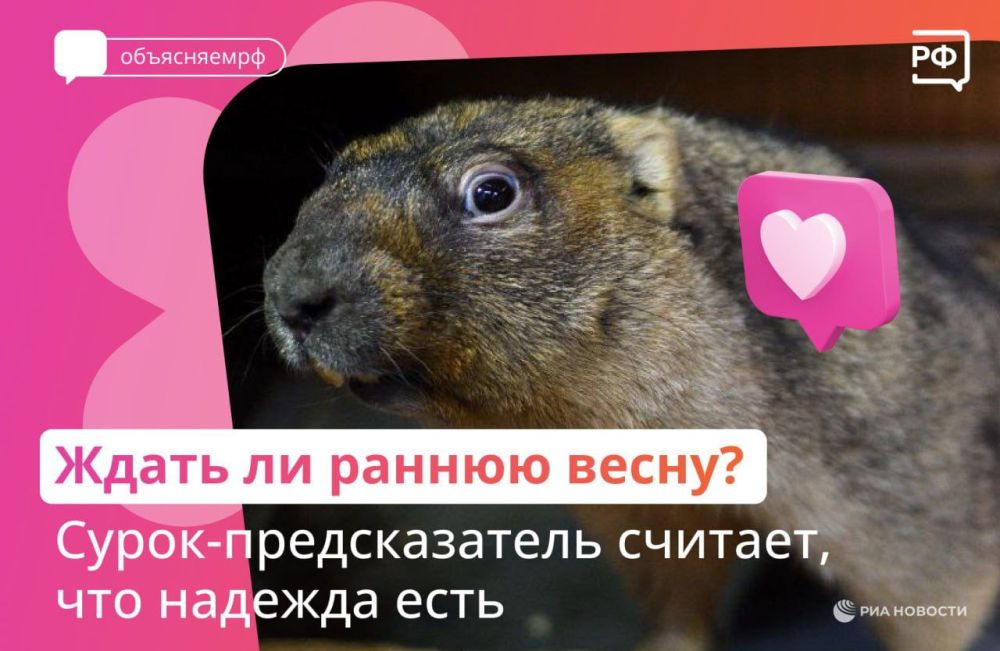 ����� ������ �� ��������� ���������� ����������� ���������� ������ �����