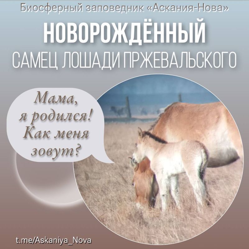 ��� ��� ������������� ������������� ������������ � ���� ����� ������