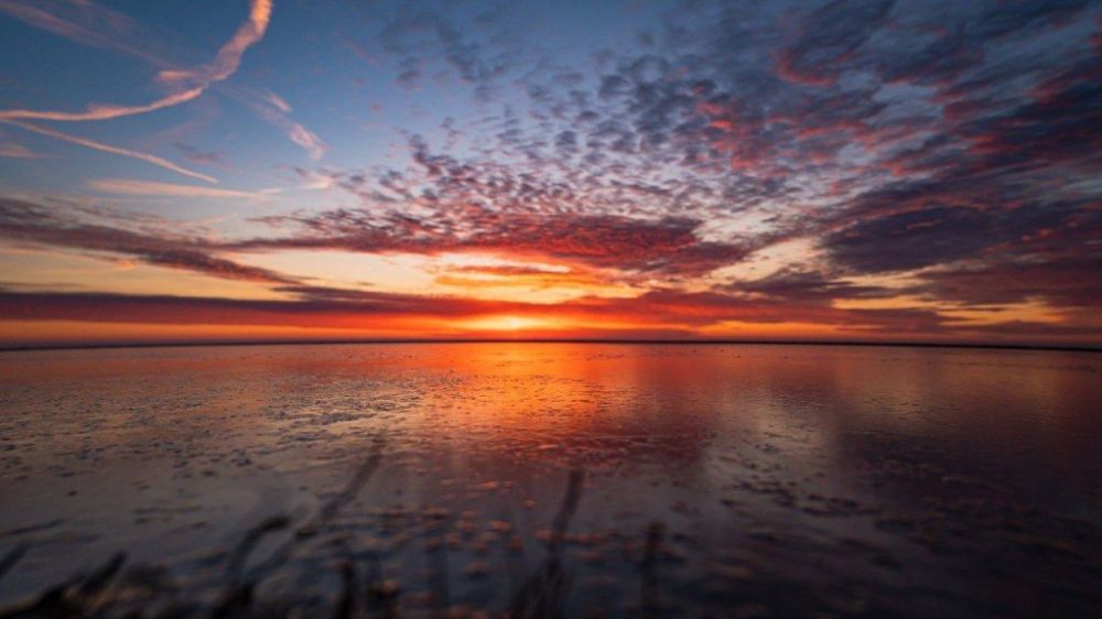 ���������� ��������� �������� ������� ��� ���������� ��������