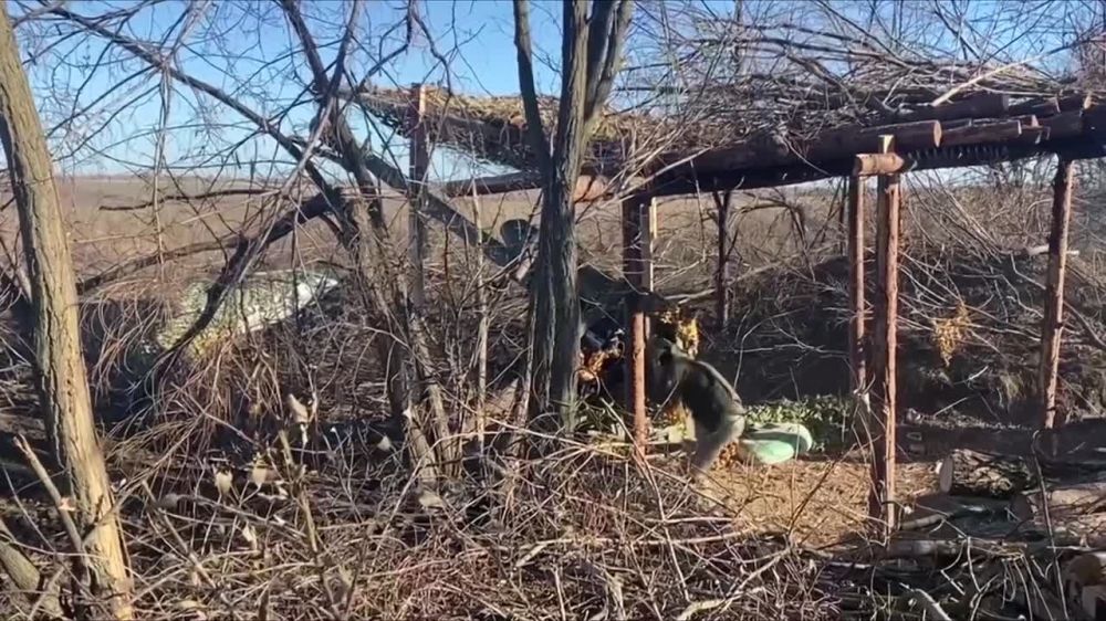 �� ������������ ������ ������� ���� ���������� �� ��� ���������, ��������� ������ � ������� ���� ���