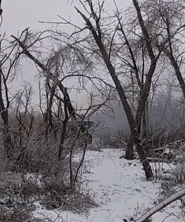 ���������� �������������� ����������� � ���������