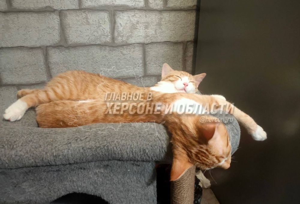 ������, ������� � ������ ����� ����� ��� � ���������� �������� � ������� � ������� ���������� ��������� ���� ����� ��������