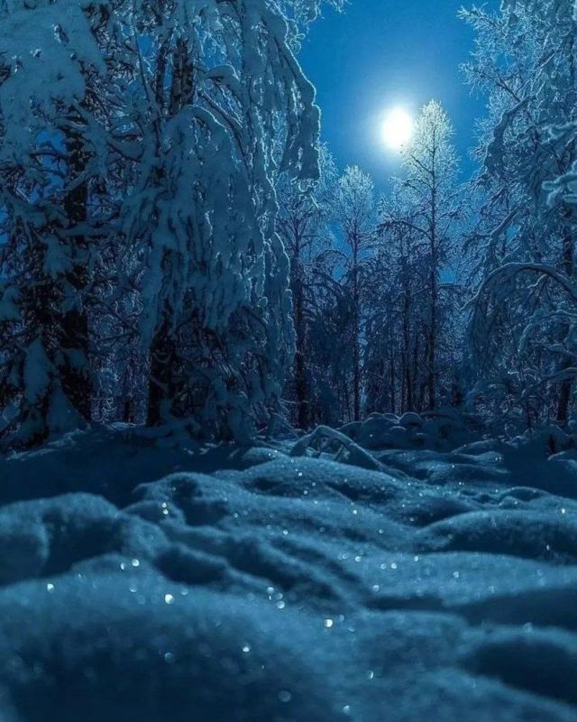 ������ ����. ������ �� ����� ���������� ���� � ������� ������ ����� ����, � ������� �� ���� �� ����� �� ������ ������. ��� �������. ����������� �� +4 ����� �� +13 ����