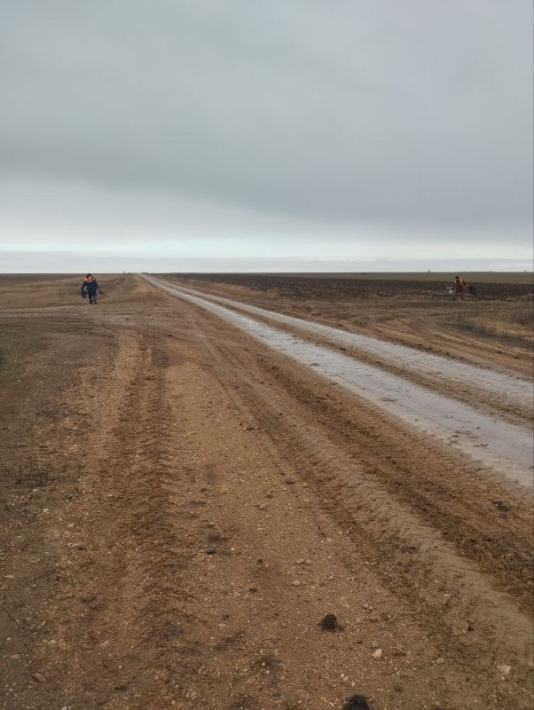 �� �������� ������������� ����� ������������� �������������� ������ ������ �������