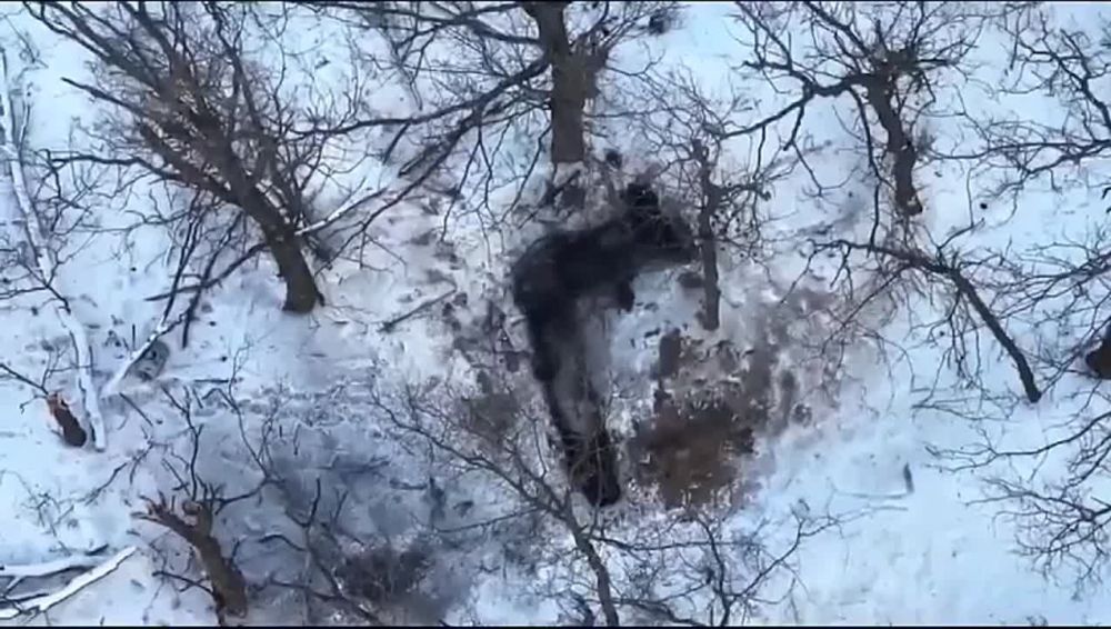 �� ��������� ����� ����� � ��� ���� ��������� ��������� ���� ������ � �������������, ����� �� ����� ��� � ����