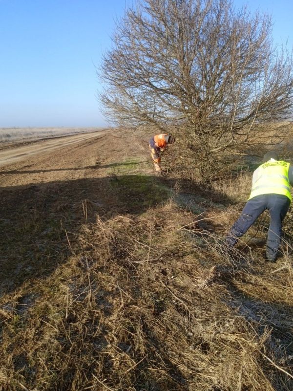 �� �������� ���������� � ������ ��������� ��������� ������ �� ������� ������� ����������