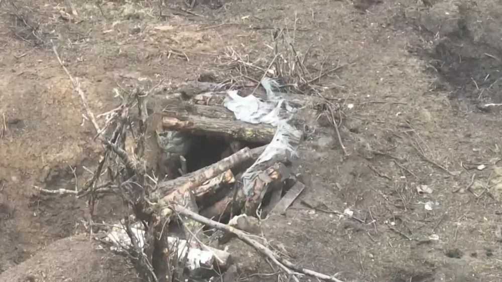 ���������� ���������� ���������� ��������� ������ ��� � ������ ��������� � ����������� ������� ����� ������� ������-���������, �������� � ���������� ��