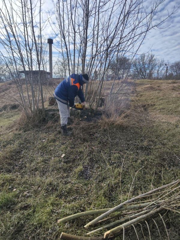 ������� ������� � ������� ���������� ������ ����������� � �������� �����