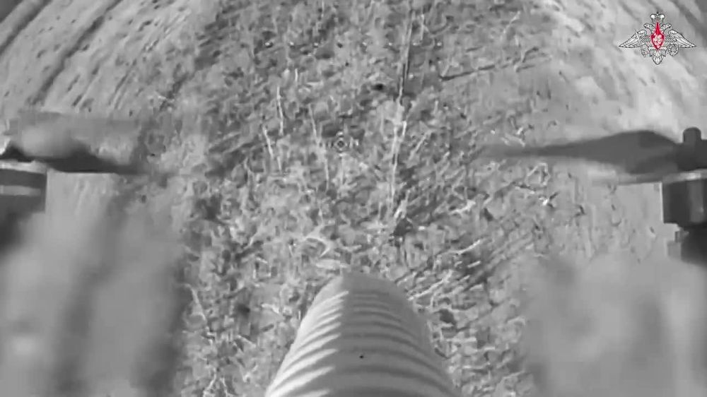 ������� ���� ��������-��������� ����� ������ ����������