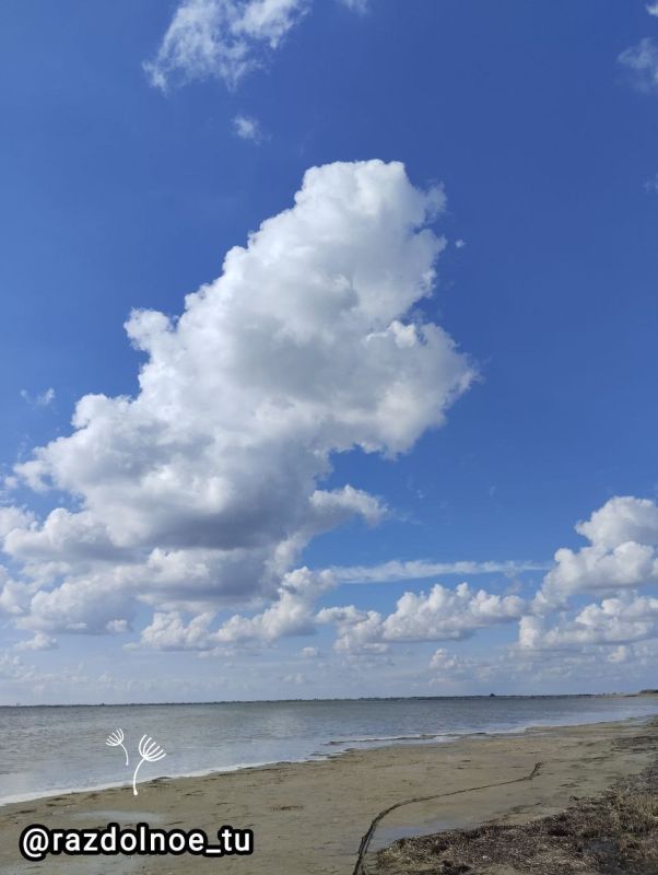 ������ �� ������� ����