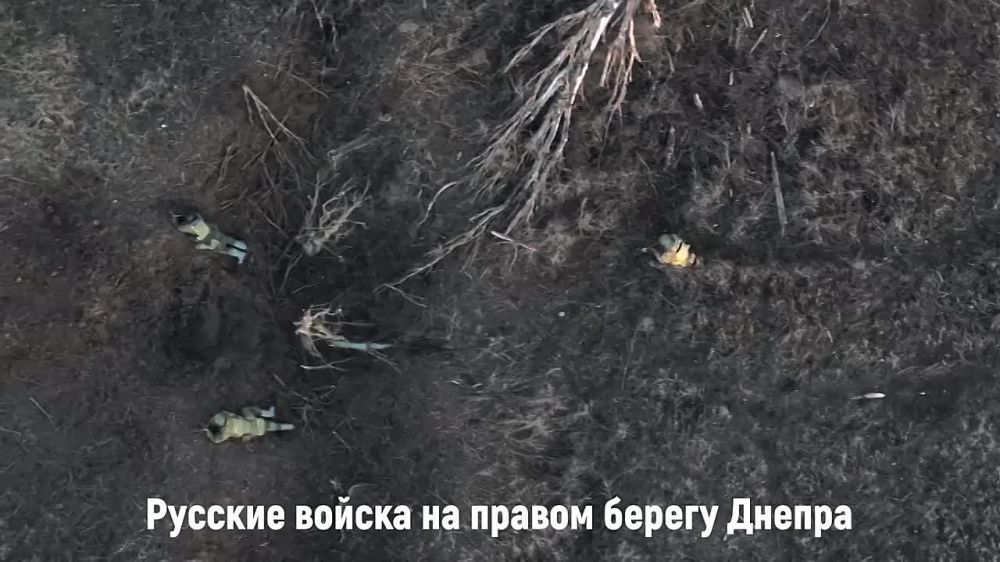 ������� ������� ���������� ���