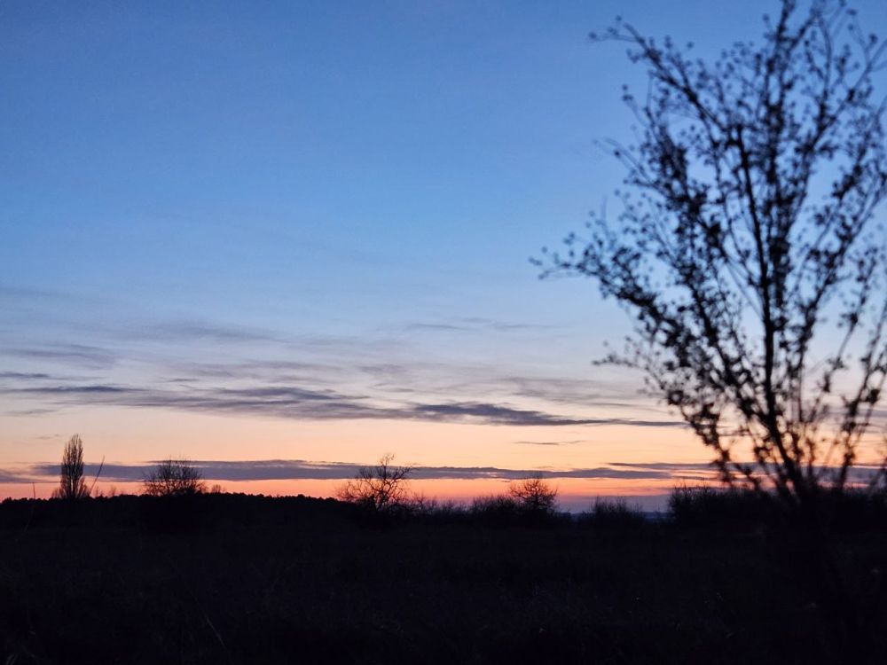 ���������� ���������� ������