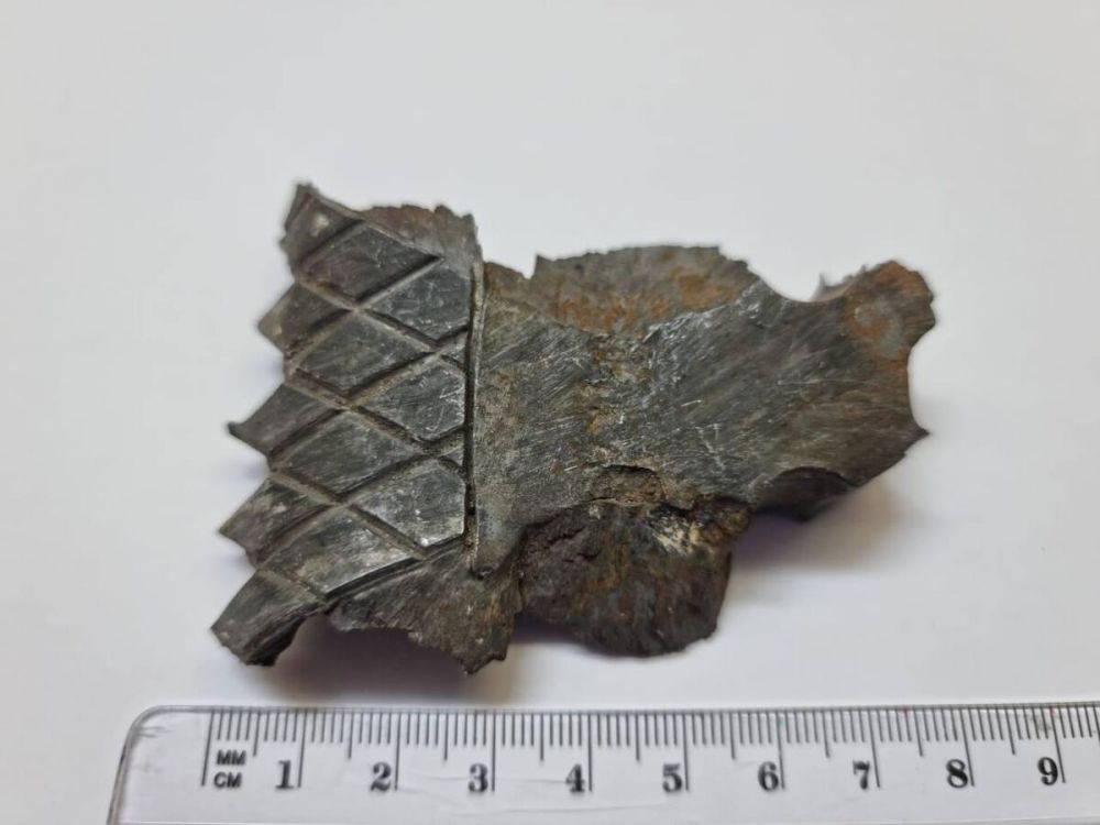 ��� �� ����� ������� 34 ����� �� ���������� ������� ���������� �������