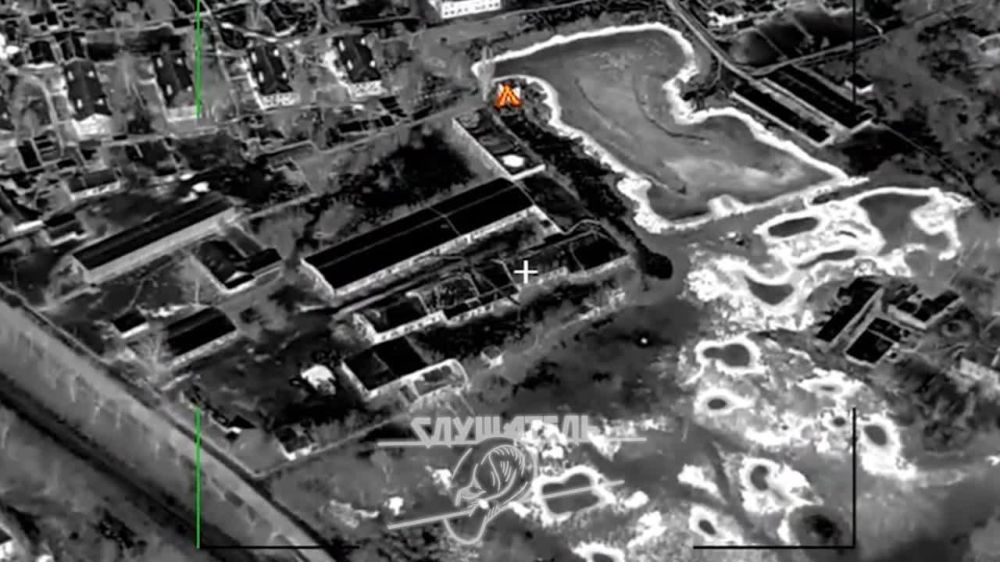 ������� ����������� ����� "�����" ������� ����� �� ��� ��� � �. ��������