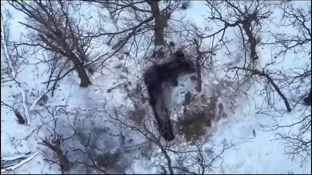 �������� ������� �������� �������� ����� � ����, �� �� �������� ���� � ����� ������� � �������, ��� ���������� �����, ����� ��������� �������� ������� � ���������� ����������, �� ���� �� �����