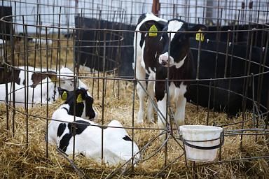 ������������ ��� ���������� ������� ��������� ��������� ������� ��������������