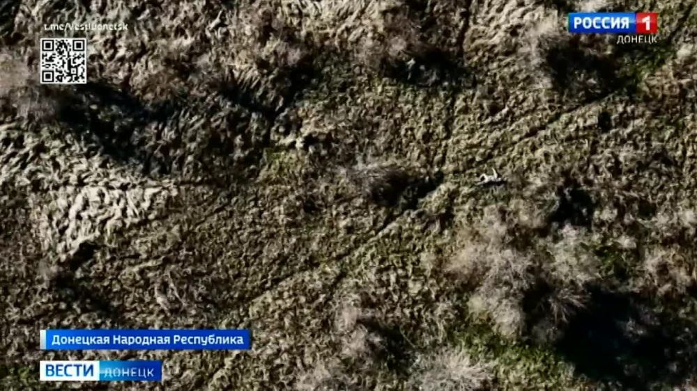 �� ���� � ����� �������� ����� �������� ������, ������� �������� ����� ����� ���������� �� �����