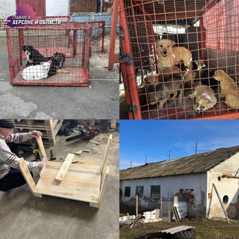 � ������������� ������ ������������ ����� ��� ��������� �������� � ���� �� ��� ���������� ��� ����� ����� ���