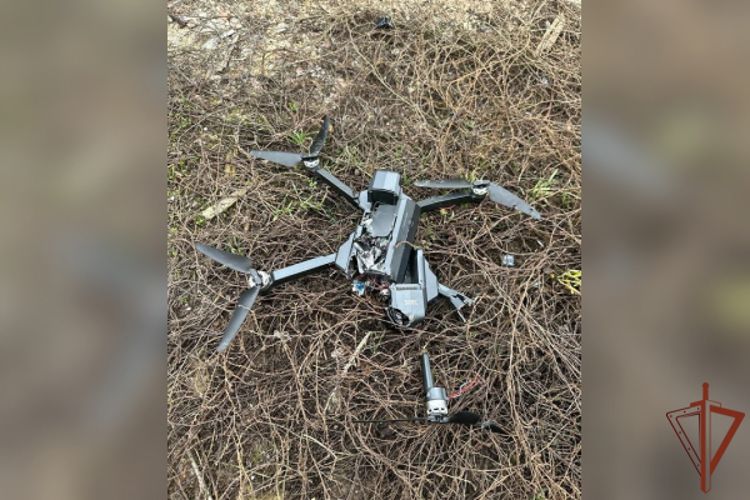 ������������ ���������� ����� ����� ��������� ����������� � ���������� �������