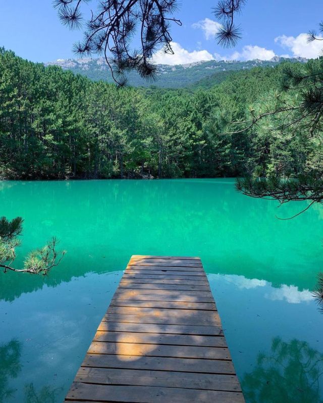 ����� ���������, ��������� ����� ����