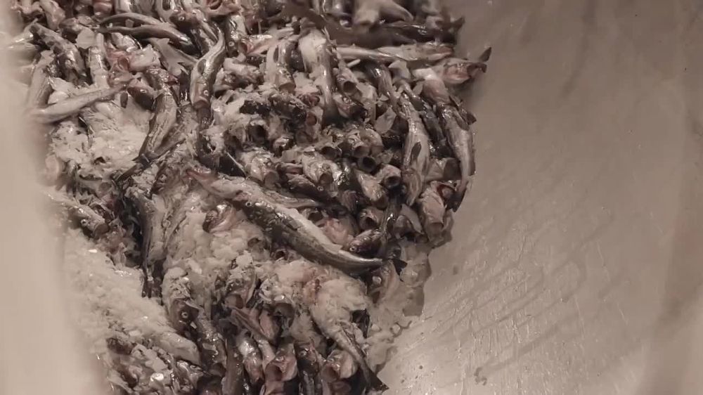 �� �������� �������� �������� �������: ��� ����� �������� ������������� �� ������ ���� ����������� � �������������� �������