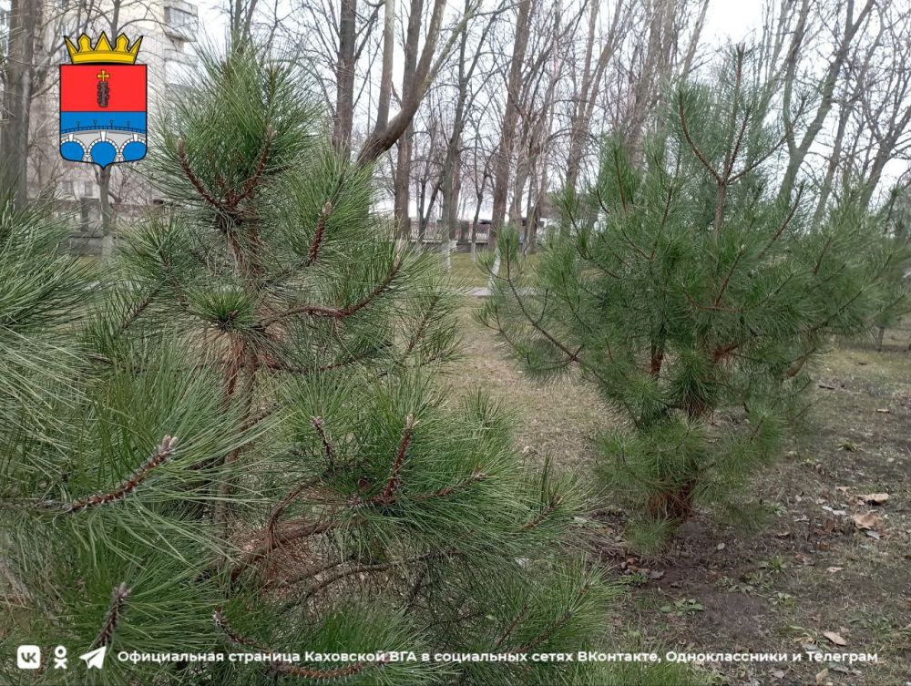 ������ ����, �������!. @VGA_Kakhovka