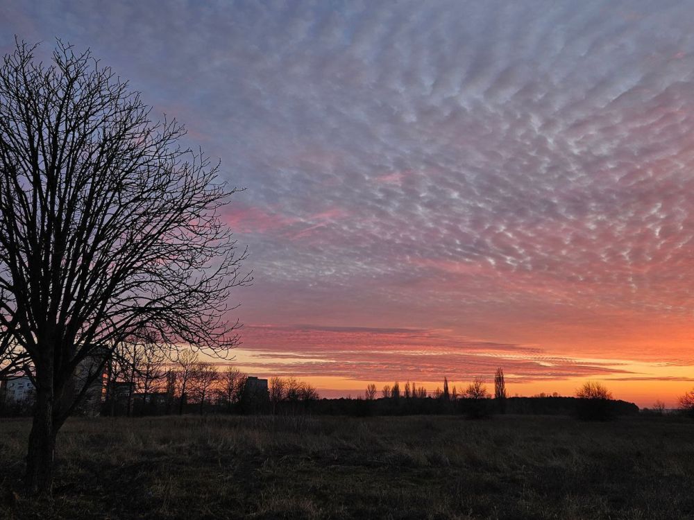 ������ �� ����. ����������� ������. ����� ���������� �������� ���. �������� ����� ��� ��������