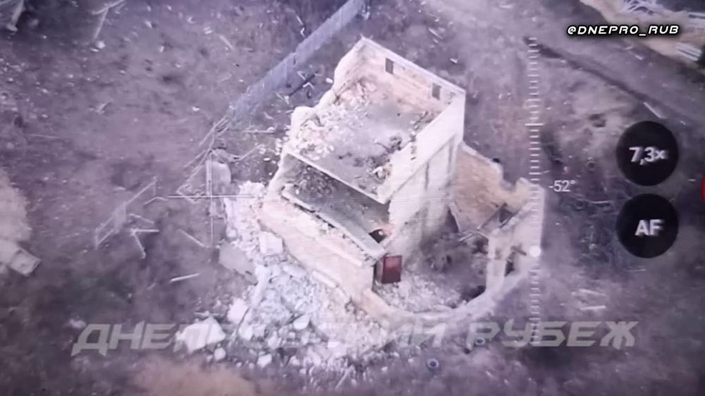 ����������� ����� "�����". ���������� �����������, ������ �����